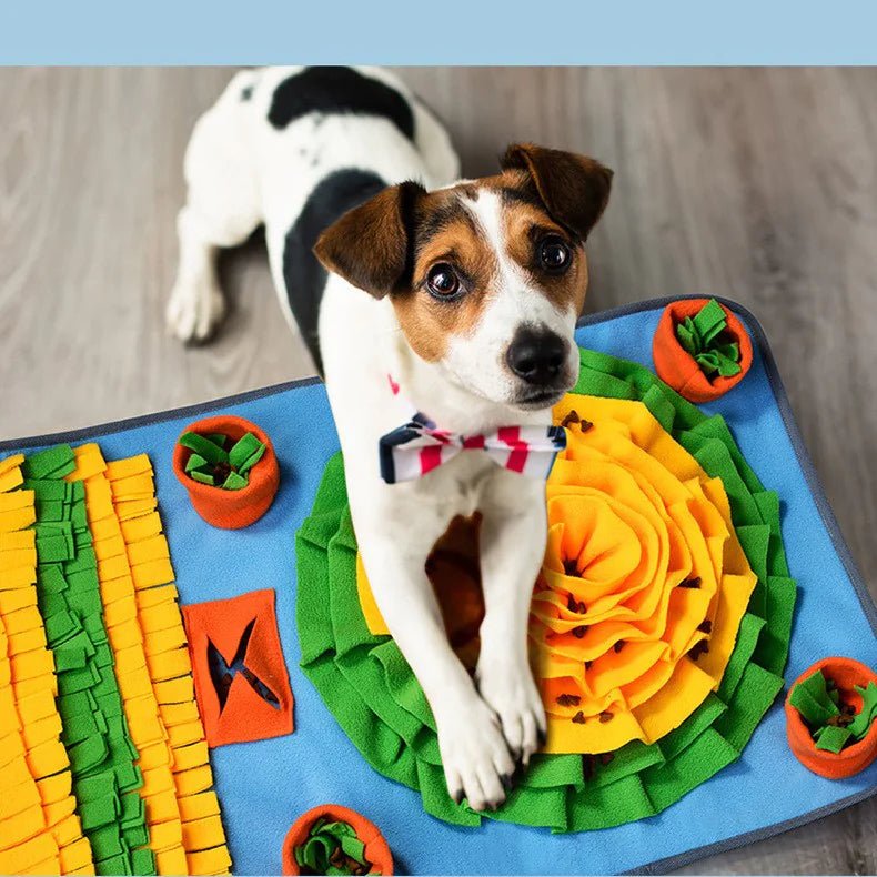 Forage™ Enrichment Mat