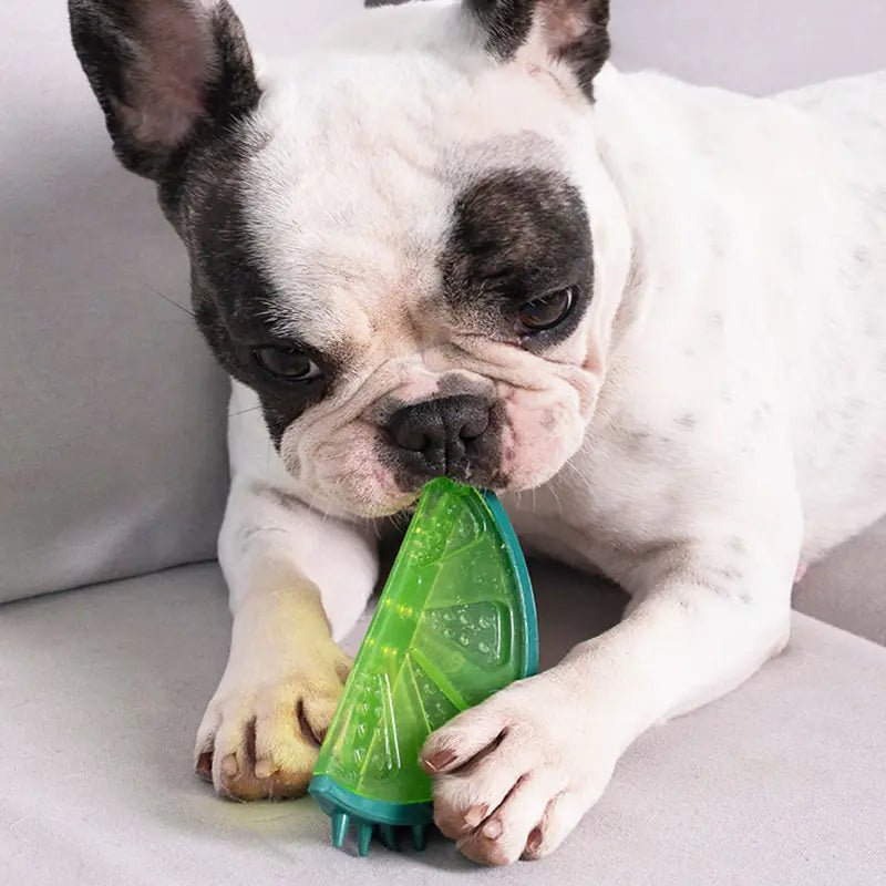 FrostBite™ Cooling Chew (🍉 / 🍍 / 🍋)